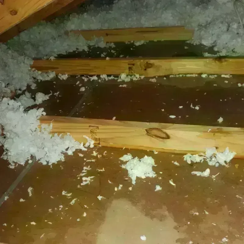 Attic Water Damage in Tallahatchie County, MS